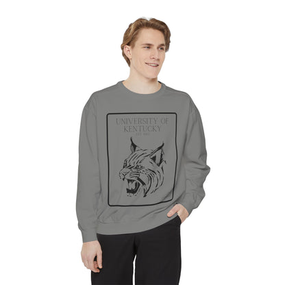 Wildcats Sweatshirt